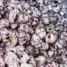 نقل ارومیه گردویی گل محمدی بهار - 1 کیلو گرم