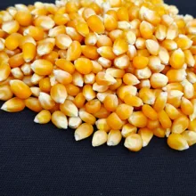 ذرت پاپ کورنی فرنام - 680 گرم