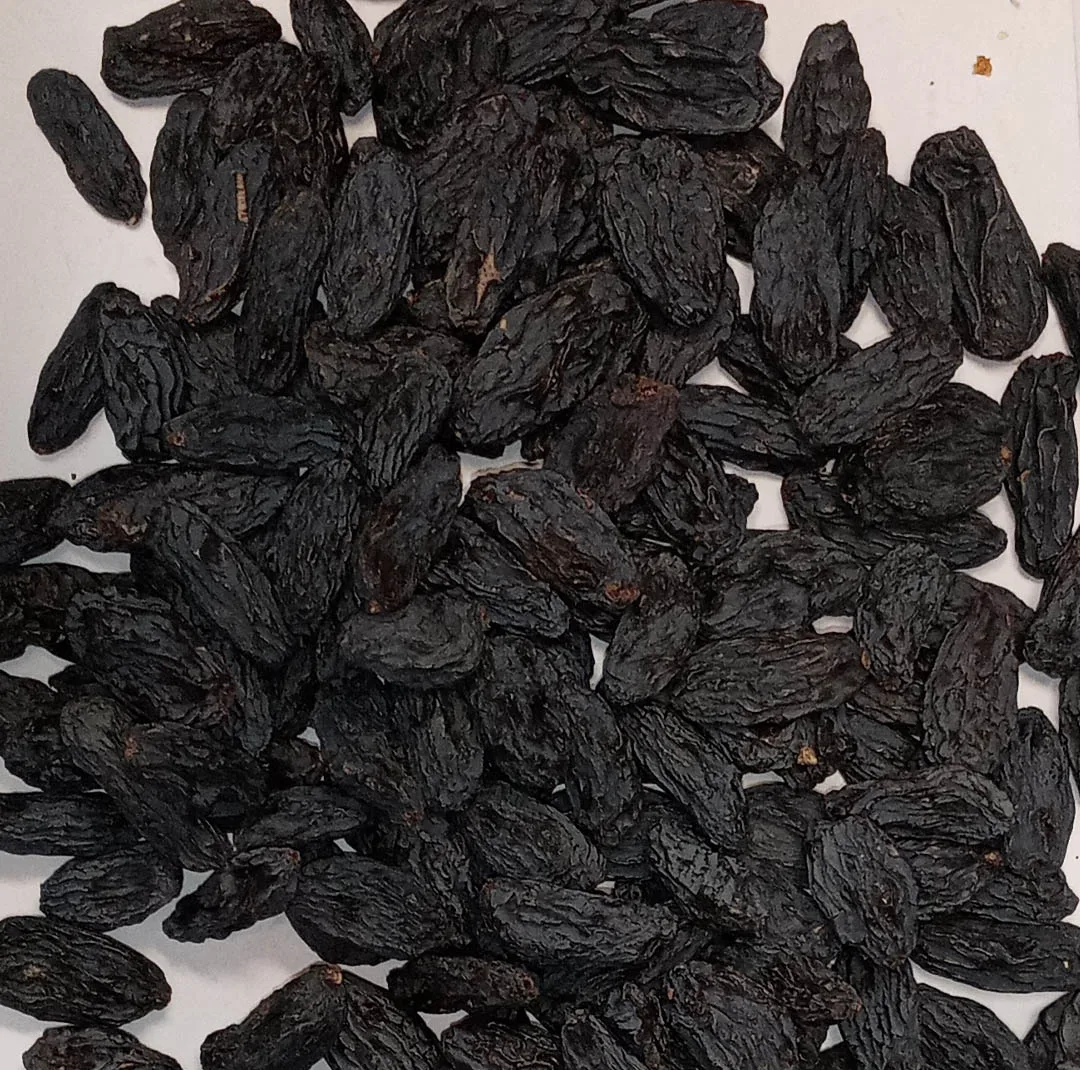 مویز بدون هسته - 500 گرم