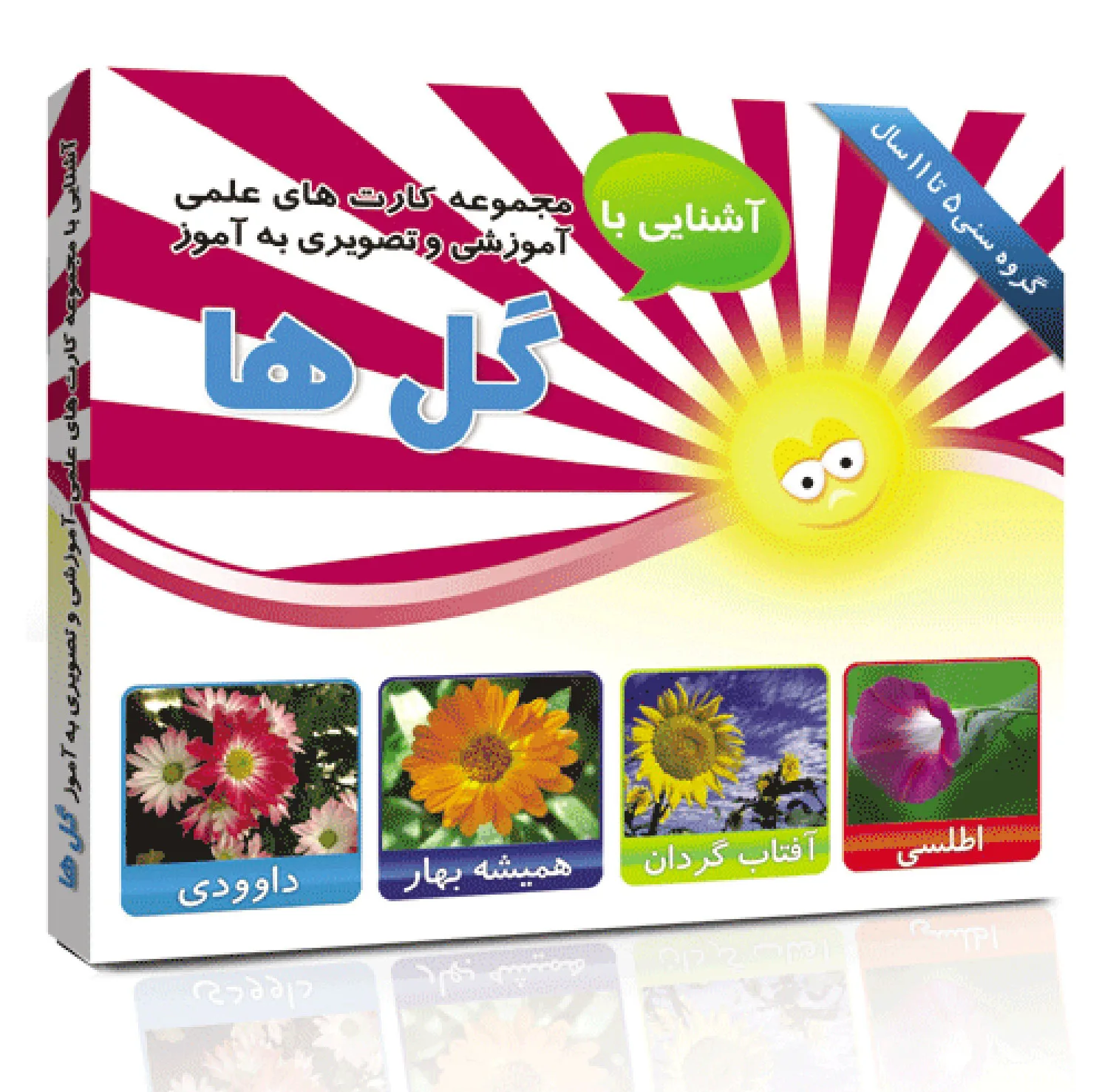 فلش کارت های آموزشی و تصویری دوره ابتدایی انتشارات امین آذر مجموعه 50 عددی