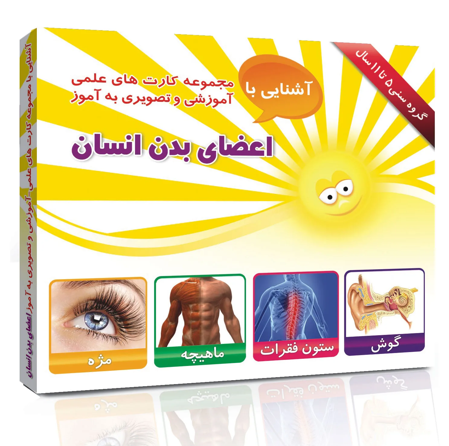 فلش کارت های آموزشی و تصویری دوره ابتدایی انتشارات امین آذر مجموعه 50 عددی