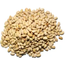 سویا فله مقدار 1000 گرم