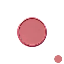 رژ گونه مات ایوزین مدل MINI شماره B5