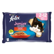 پوچ بچه گربه فلیکس مدل Kitten Beef & Chicken با طعم گوشت گاو و مرغ وزن 85 گرم بسته 4 عددی