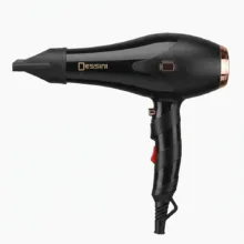 سشوار حرفه ای ۶۰۰۰ وات دسینی مدل DS-5581