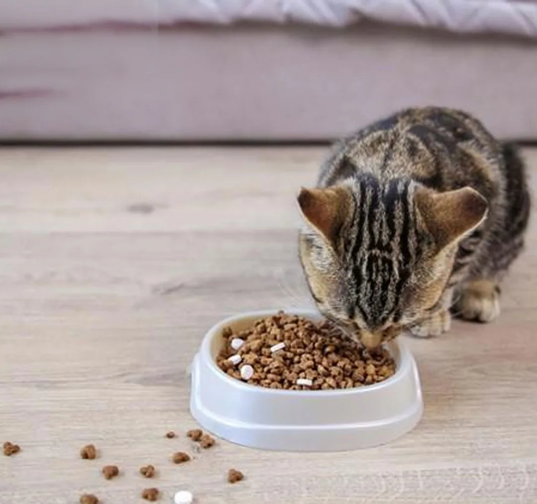 غذا خشک گربه جوسرا مدل Catelux وزن 2 کیلوگرم