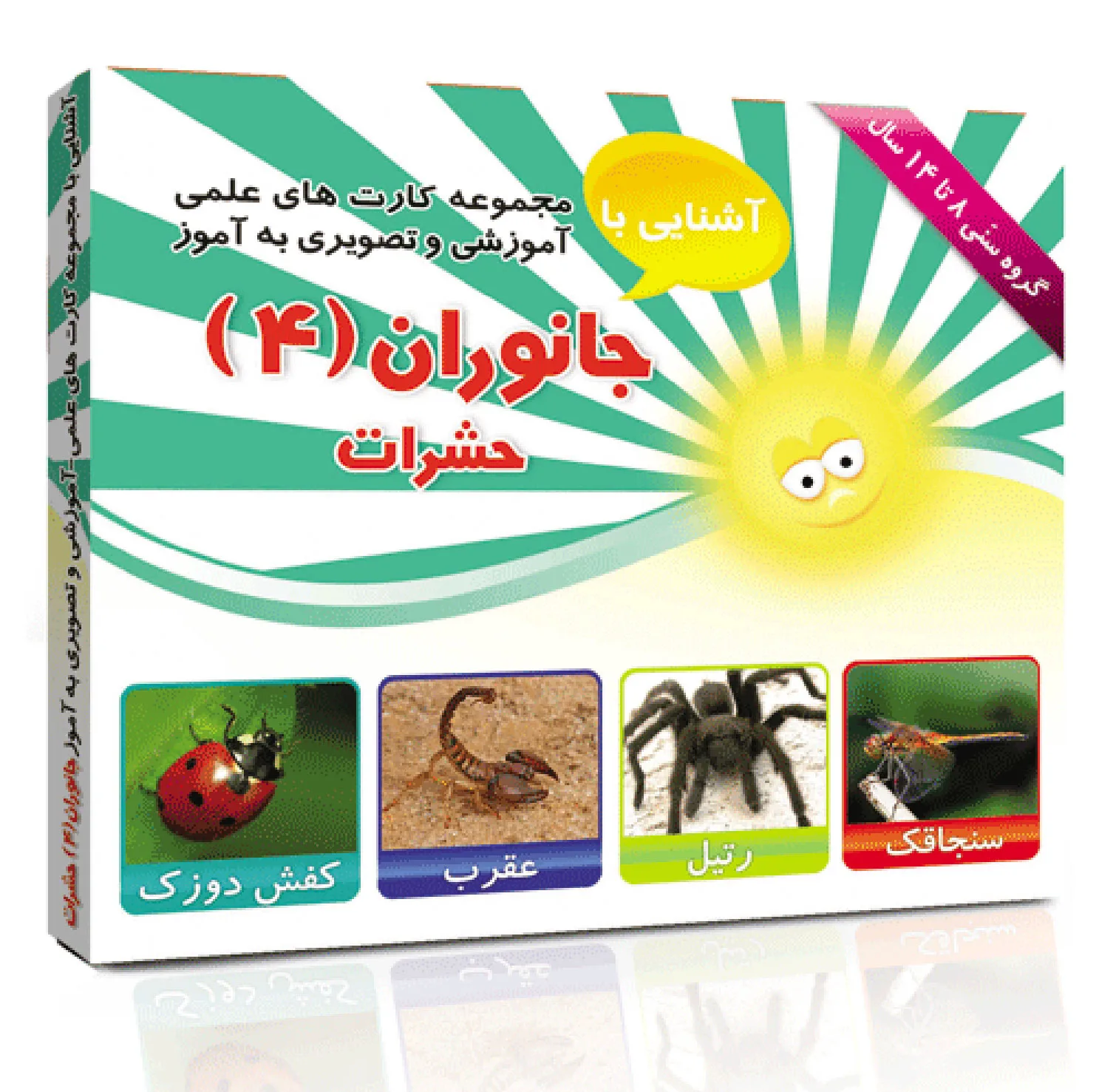 فلش کارت های آموزشی و تصویری دوره ابتدایی انتشارات امین آذر مجموعه 28 عددی