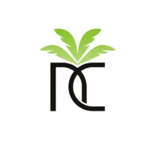 کیف حمل کنسول بازی پلی استیشن 5 اسلیم نخل مدل NKH-258