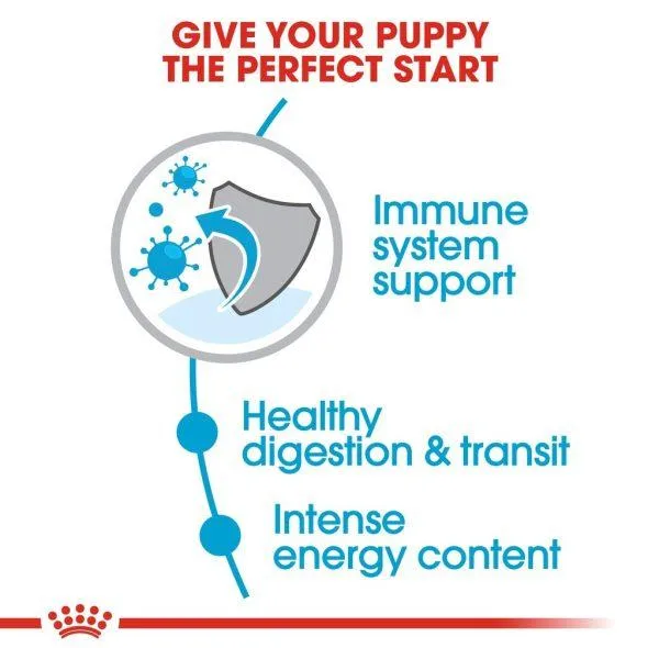غذا خشک سگ رویال کنین مدل pomeranian وزن 3 کیلوگرم