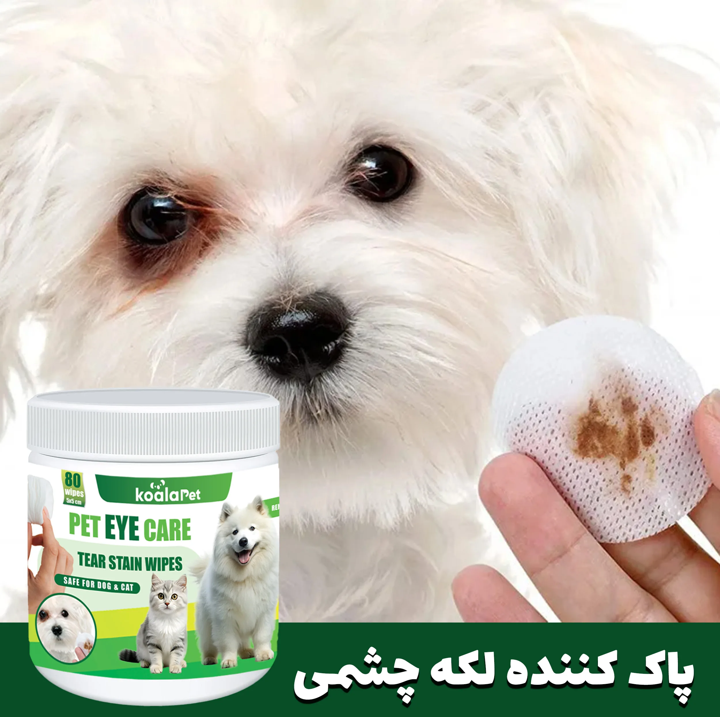 دستمال مرطوب و سواب مرطوب سگ و گربه کوالاپت مدل مخصوص چشم و گوش بسته دو عددی