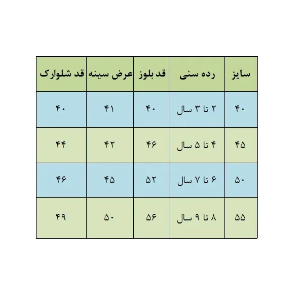 ست تیشرت آستین کوتاه و شلوارک راحتی پسرانه مدل DUNKS AIK