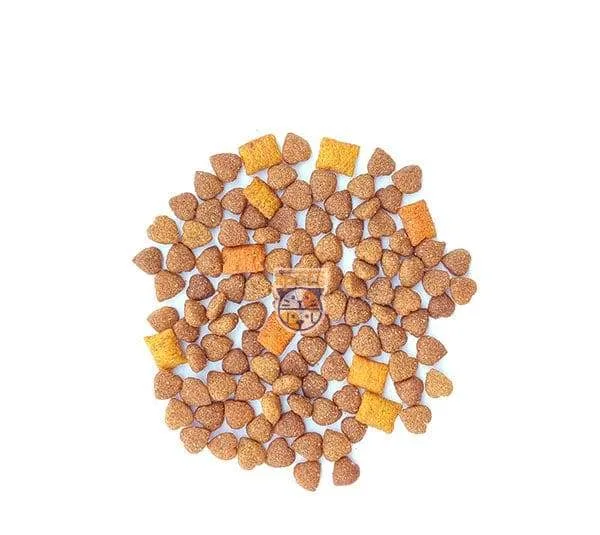 غذای خشک سگ مونلو مدل پاپی طعم مرغ و گوشت و سبزیجات وزن 1 کیلوگرم