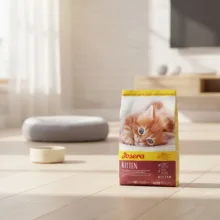 غذای خشک گربه جوسرا مدل Kitten وزن 2 کیلوگرم