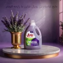 مایع لباسشویی رویال شاین مدل لاوندر وزن 2.7 کیلوگرم