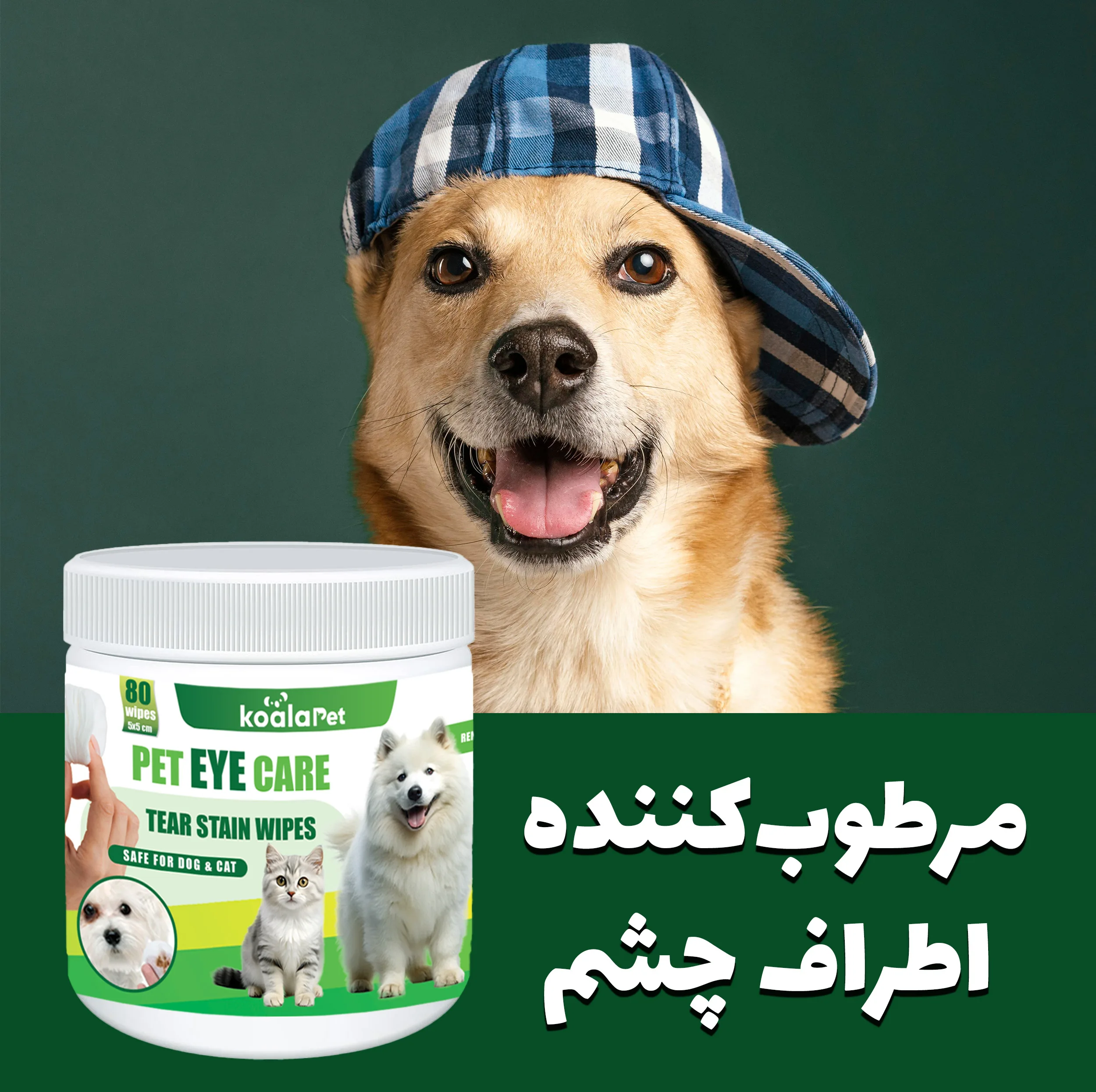 دستمال مرطوب و سواب مرطوب سگ و گربه کوالاپت مدل مخصوص چشم و گوش بسته دو عددی