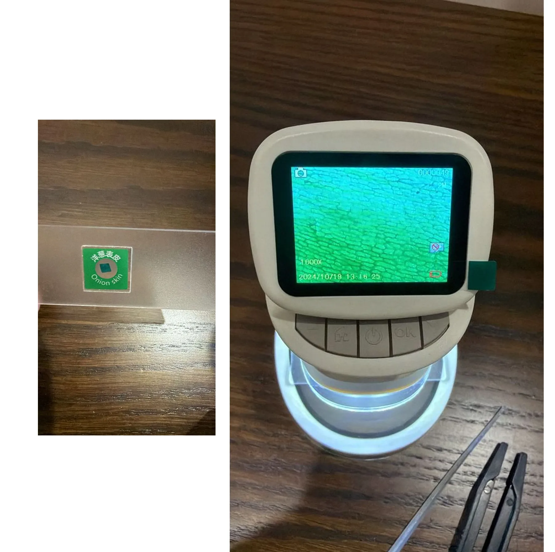 میکروسکوپ دیجیتال مدل Full HD 1000x New 5MP