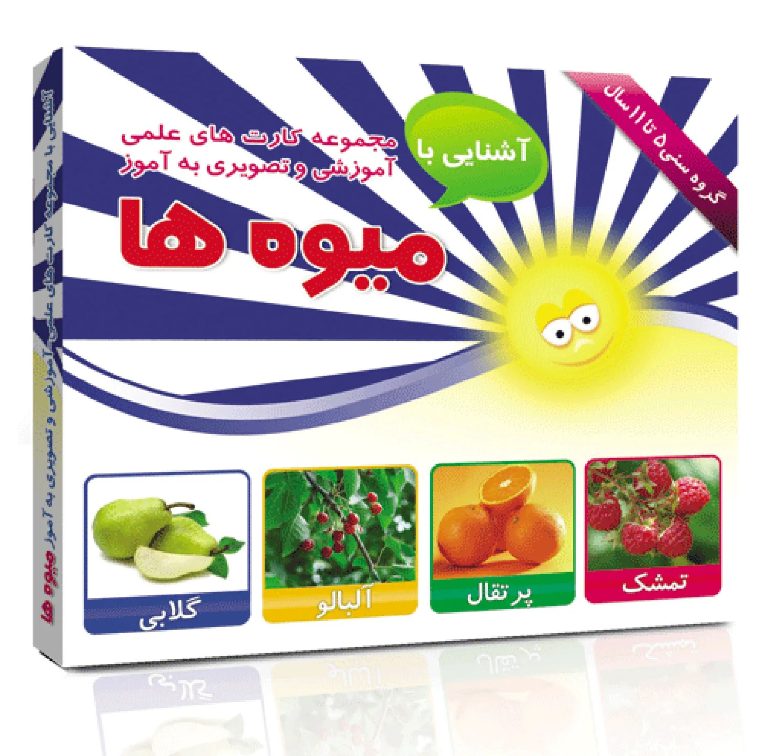 فلش کارت های آموزشی و تصویری دوره ابتدایی انتشارات امین آذر مجموعه 50 عددی
