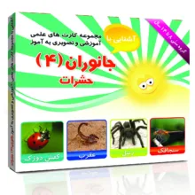 فلش کارت های علمی آموزشی و تصویری 8 تا 14 سال انتشارات امین آذر مجموعه 13 عددی