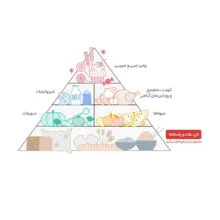 پاپ کورن نیمه آماده مولتی طعم ماکروپف - 1000 گرم مجموعه 10 عددی