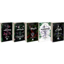 کتاب ناتوان، قدرتمند، بی پروا، بی باک و بیمناک اثر لورن رابرتس نشر آذرگون 5 جلدی