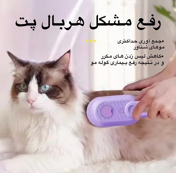 برس مو شارژی بخار دار مدل جداشونده و قابل شستشو