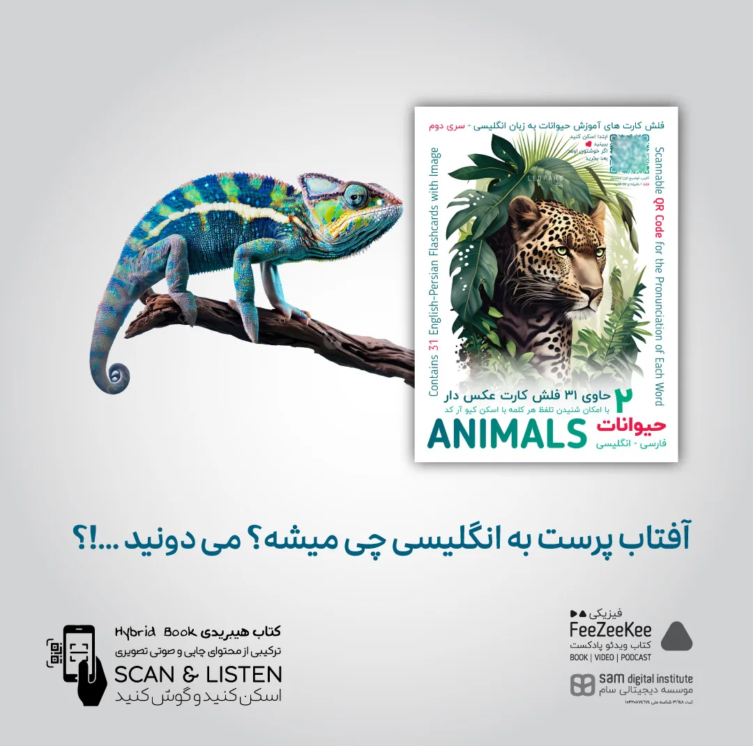 فلش کارت آموزش زبان انگلیسی نشر فیزیکی مجموعه 5 عددی