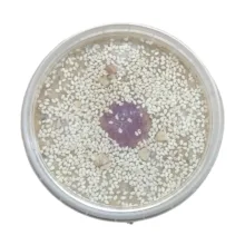 حلوای سنتی بزرک سیاه رمضان - 490 گرم بسته 3 عددی