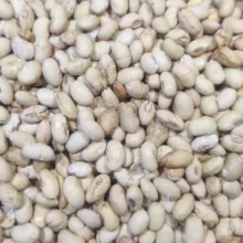 سویا آجیلی نمکی صنایع غذایی شاد - 1000 گرم