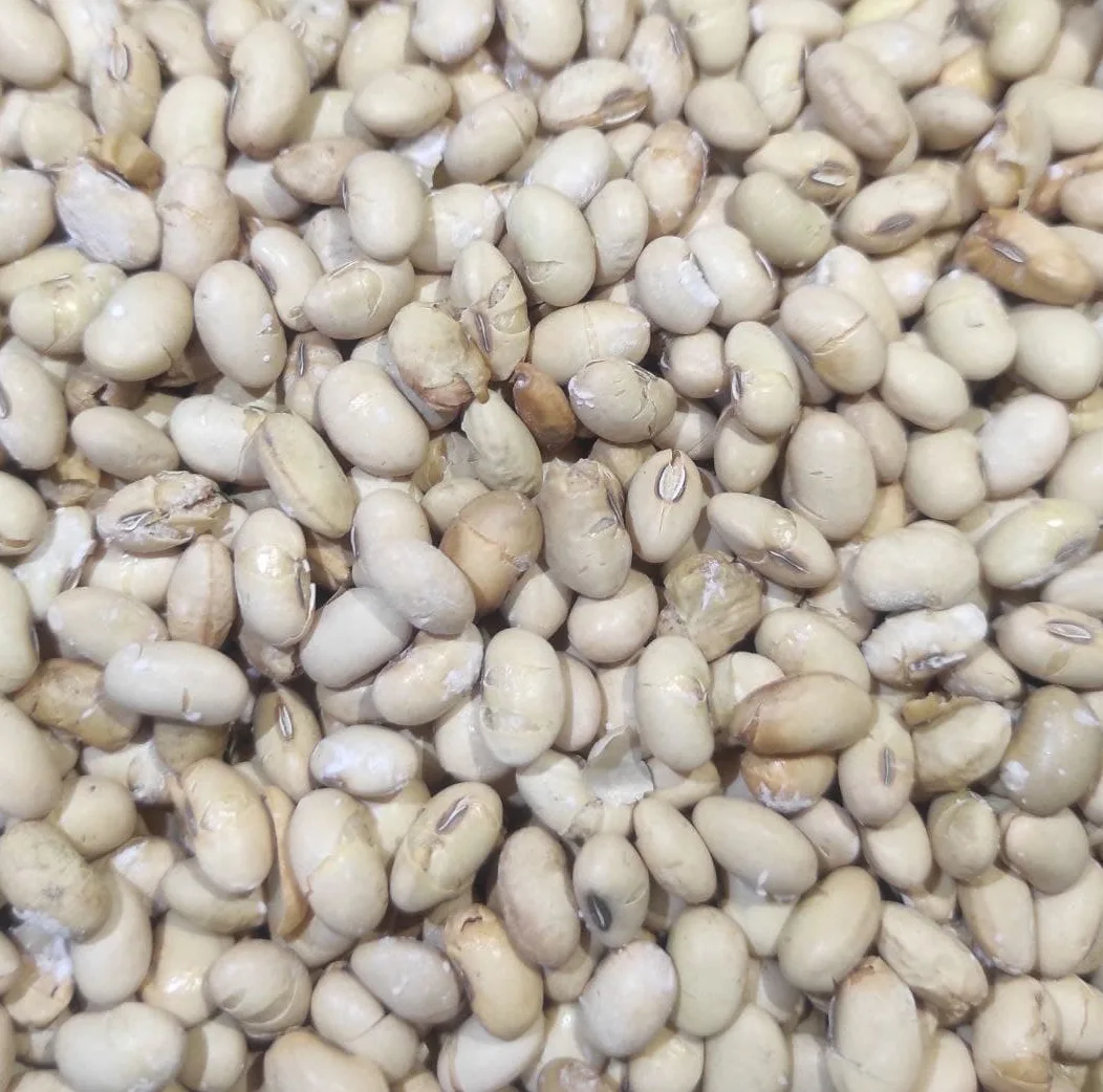 سویا آجیلی نمکی صنایع غذایی شاد - 1000 گرم