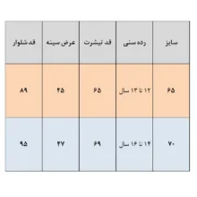 ست تی شرت و شلوار راحتی پسرانه مدل 54