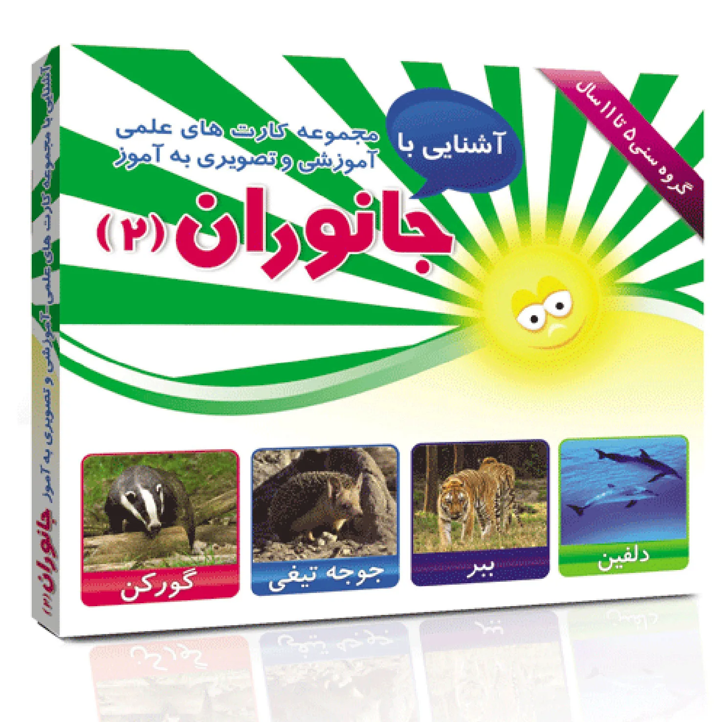 فلش کارت های آموزشی و تصویری دوره ابتدایی انتشارات امین آذر مجموعه 50 عددی