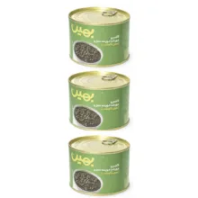 کنسرو قرمه سبزی بدون گوشت بهین – 450 گرم بسته 3 عددی