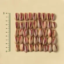 پسته احمدآقایی بوداده متوسط پستاکو - 230 گرم