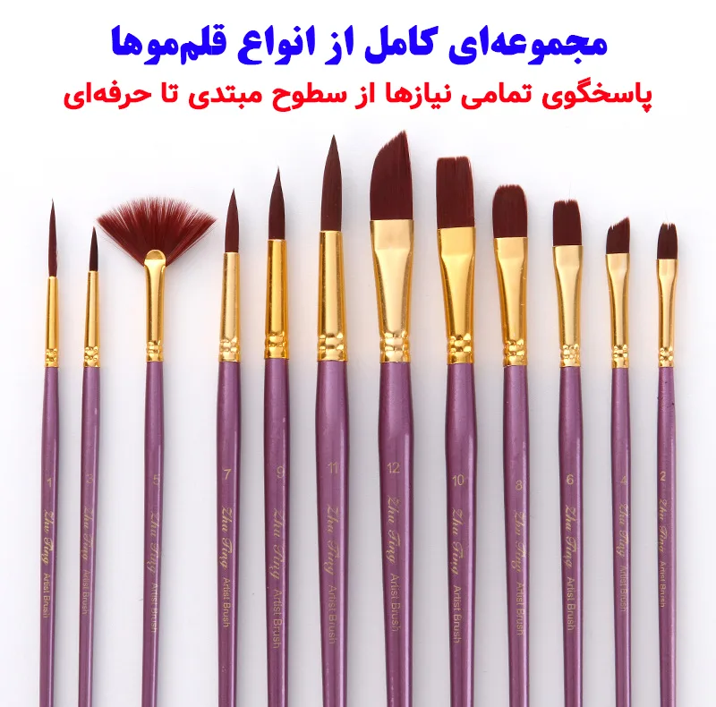 ست قلم مو ژوتینگ کد Professional Violet به همراه پالت مجموعه 13 عددی