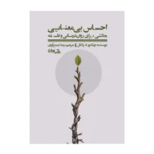 کتاب احساس بی‌معنایی اثر ویکتور فرانکل ترجمه رضا جمع آوری انتشارات سیوان