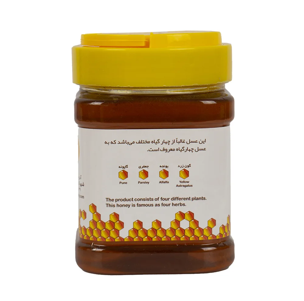 عسل چهار گیاه ممتاز خوانسار - 500 گرم