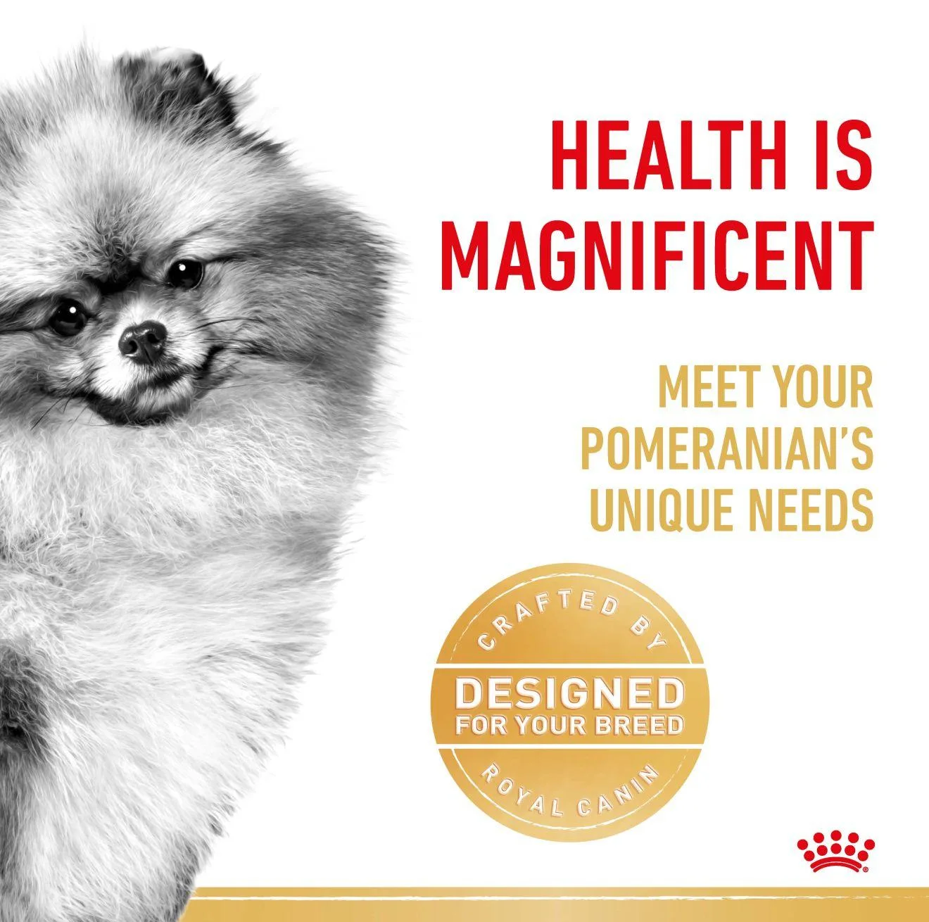 غذا خشک سگ رویال کنین مدل pomeranian وزن 3 کیلوگرم