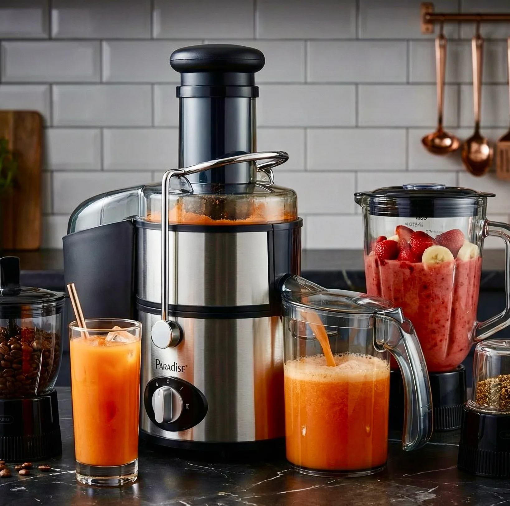 آبمیوهگیری چند کاره پارادایس مدل P-210