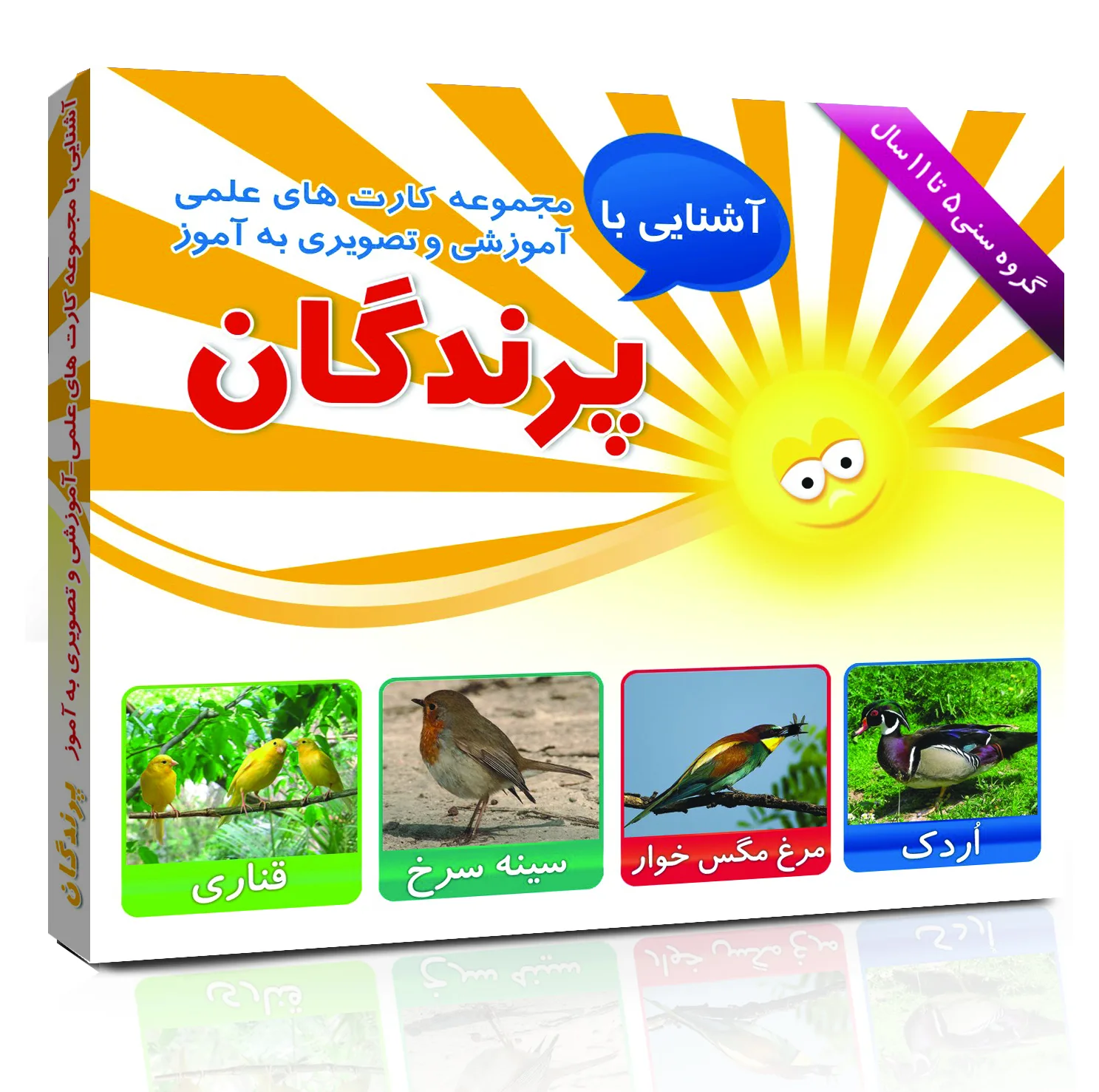 کارت های علمی آموزشی و تصویری مفهومی) 5 تا11 سال انتشارات امین فلش آذر مجموعه 12 عددی