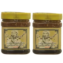 معجون چاقی بوعلی سینا – 500 گرم بسته دوعددی