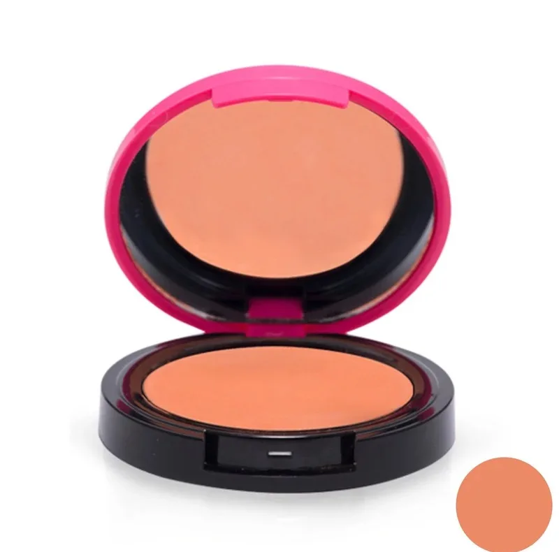 پالت رژگونه براق تاپ فیس مدل Instyle Twin شماره011