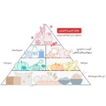 کنسرو خورش فسنجان بدون گوشت گیلانی - 460 گرم