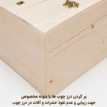 لانه پرنده مدل استاندارد پلاس