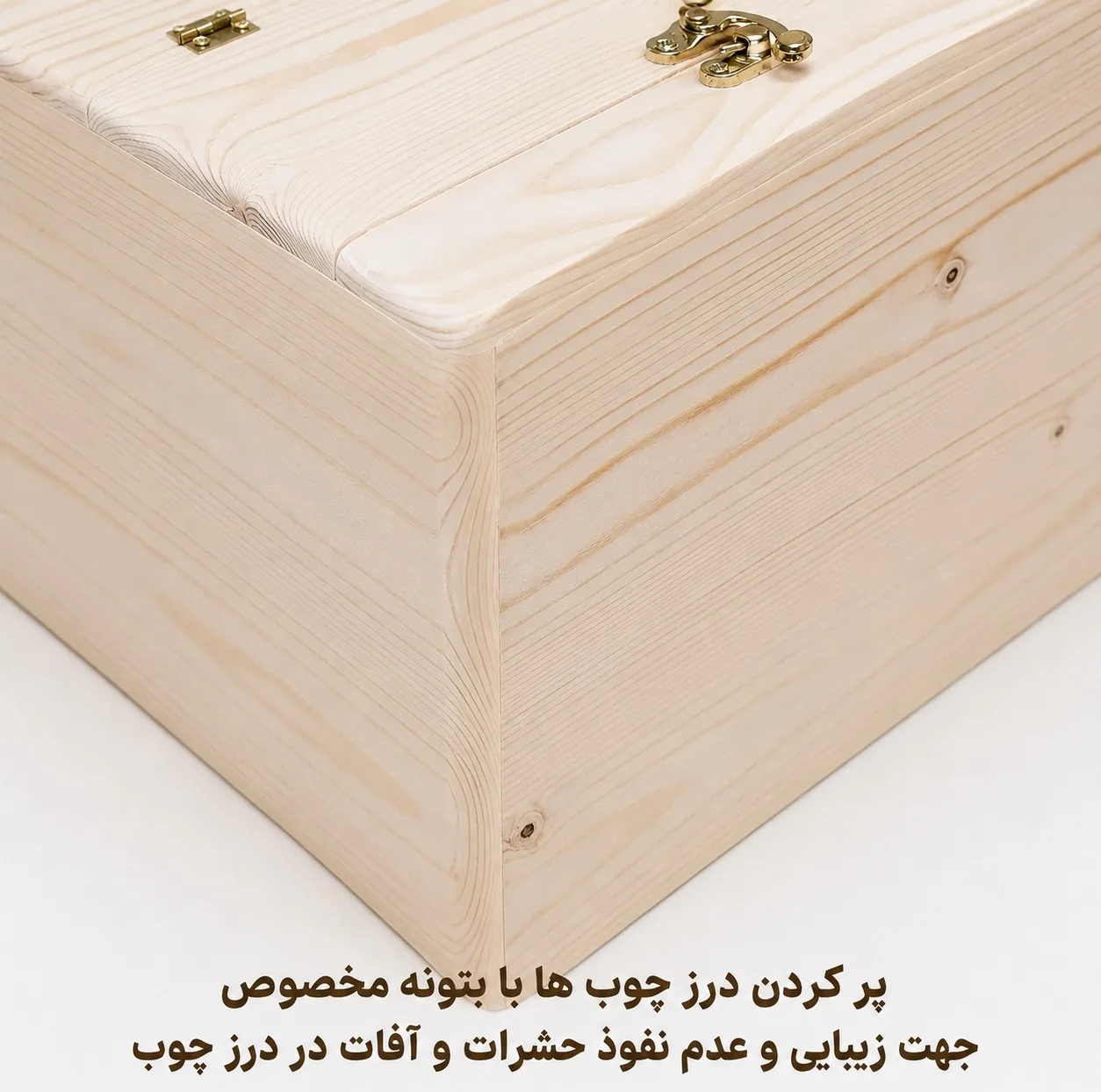 لانه پرنده مدل استاندارد پلاس