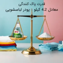 مایع لباسشویی رویال شاین مدل Professional Clean حجم 2700 میلی لیتر