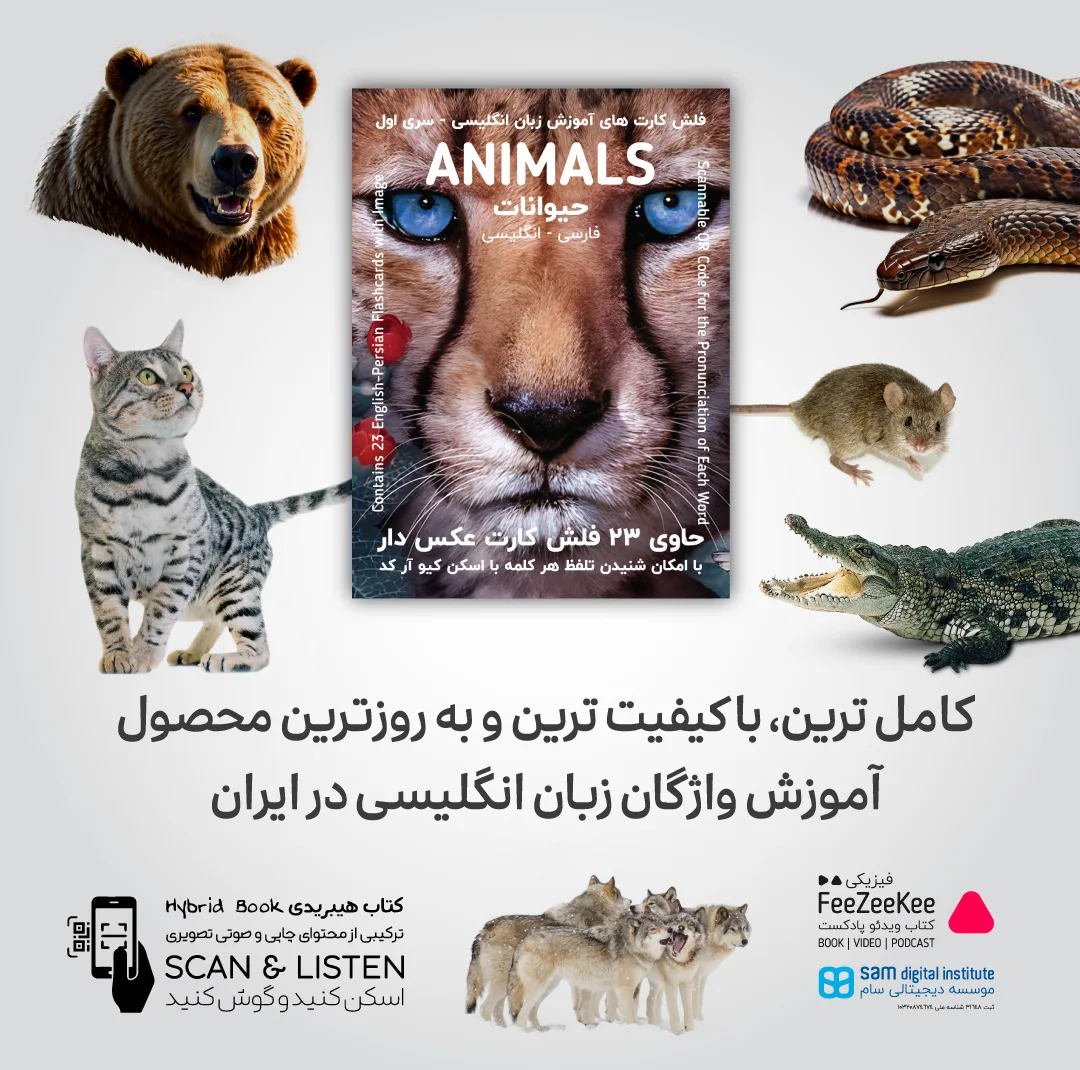 فلش کارت آموزش زبان انگلیسی نشر فیزیکی مجموعه 5 عددی