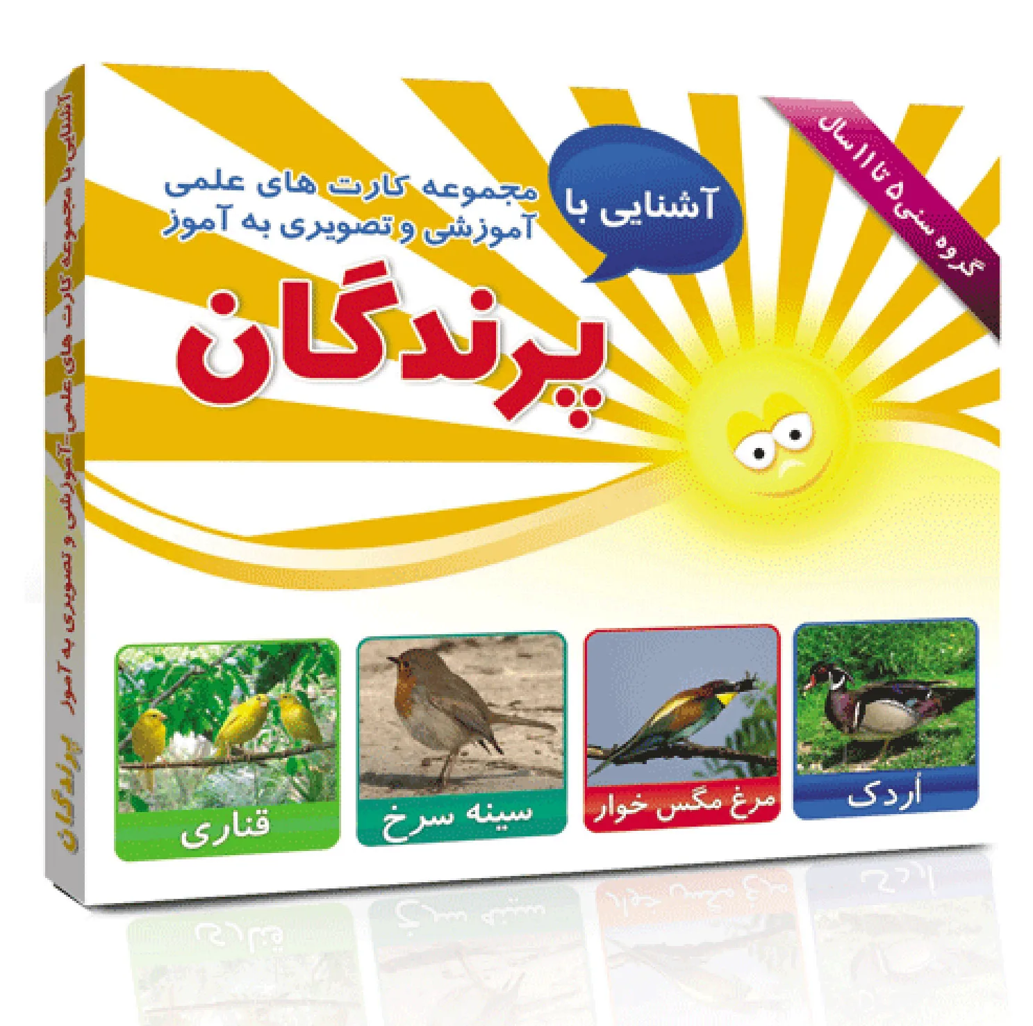 فلش کارت های آموزشی و تصویری دوره ابتدایی انتشارات امین آذر مجموعه 50 عددی