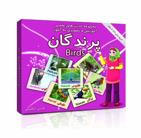 فلش کارت های علمی آموزشی و تصویری 2 تا 10 سال انتشارات امین آذر بسته 15 عددی