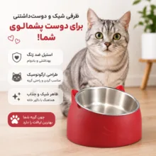 ظرف آب و غذا سگ و گربه مدل Cat-B-R