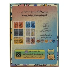 بازی فکری سان گیمز مدل پیشی میشی